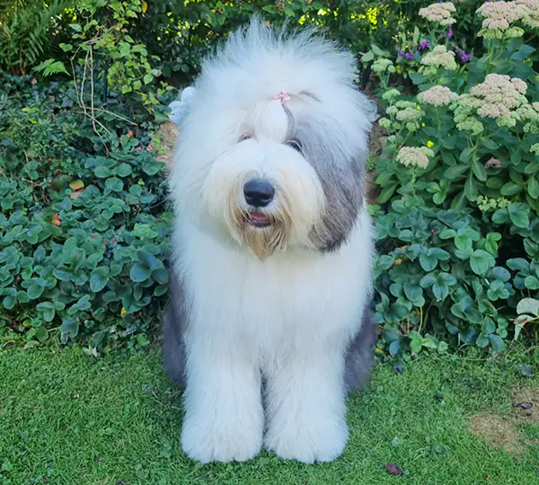 Melleonär's Keep Your Hair On