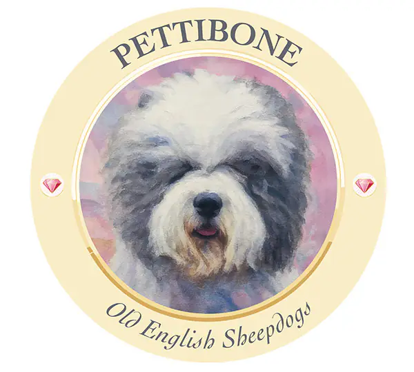Pettibone