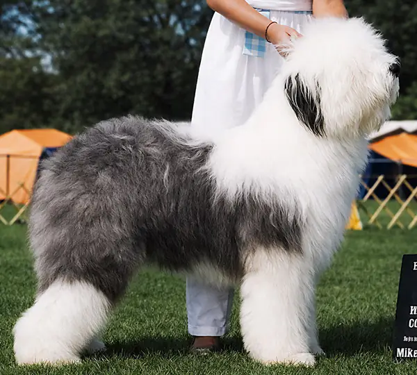 Some Buddys Storm Warning