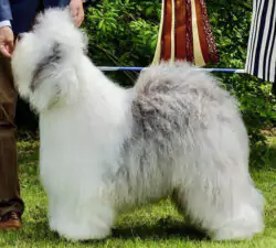 Stairway To Heaven Take That