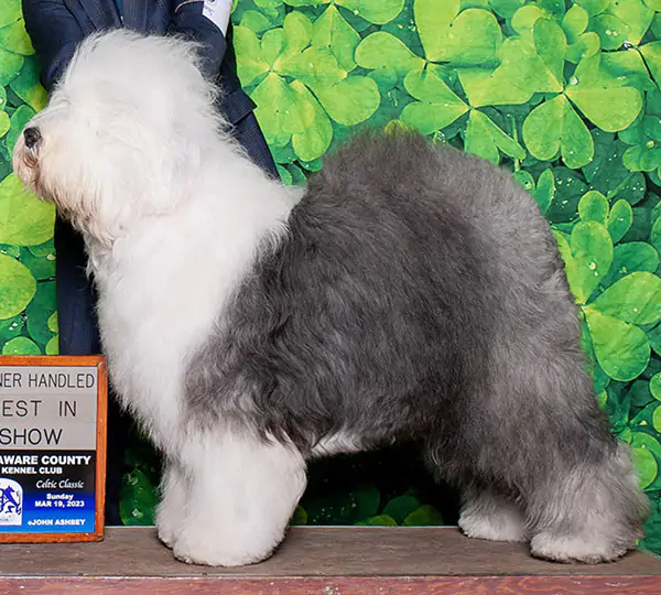 Symmetry's Curtain Call On Main Street