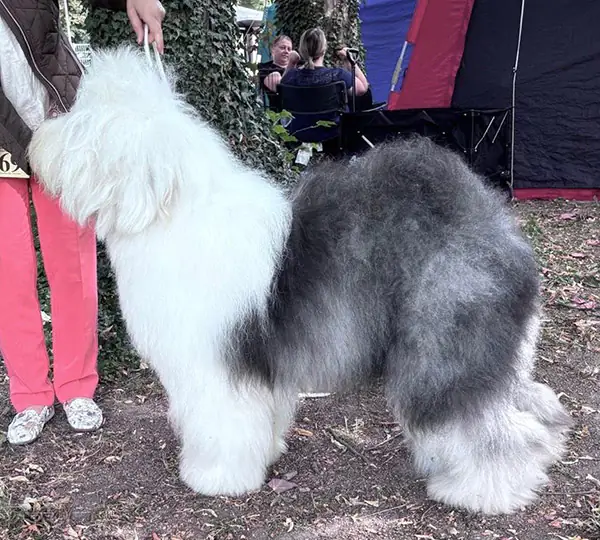 Wanted You aus dem Elbe-Urstromtal