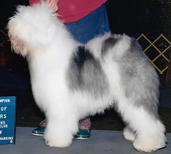 Whisperwoods White Lightning