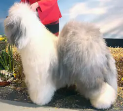 Winnetou aus dem Elbe-Urstromtal