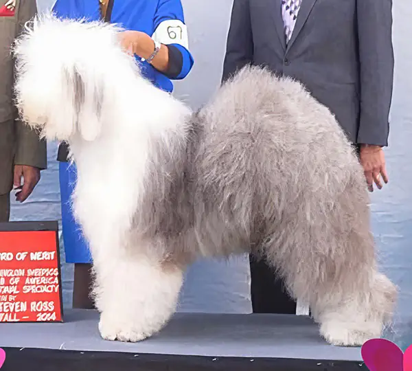 Wynsilot Man N A Grey Flanel Suit