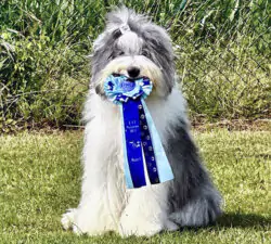 Zuckerschnute aus dem Rotmaintal