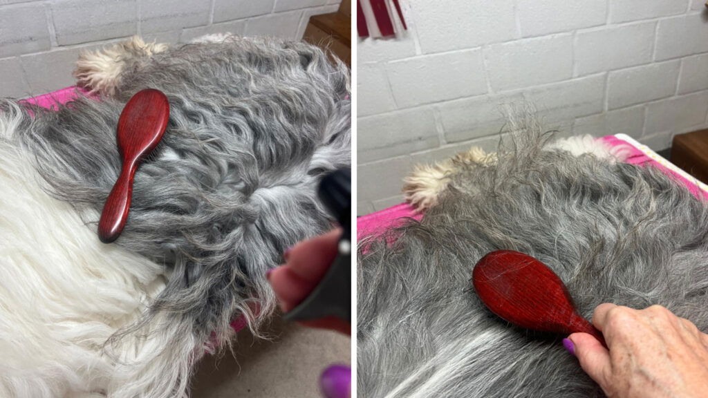 Routine voorbereiding