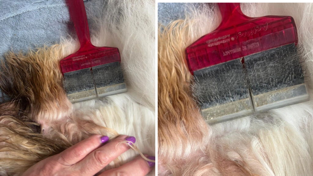 Routine - Onderkant baard