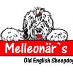 Melleonaers