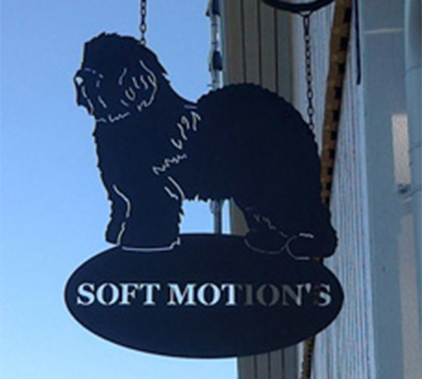 Soft Motion's