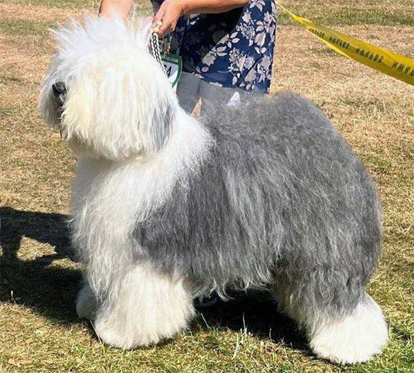 Argovian Rendez-Vous with Charmlea