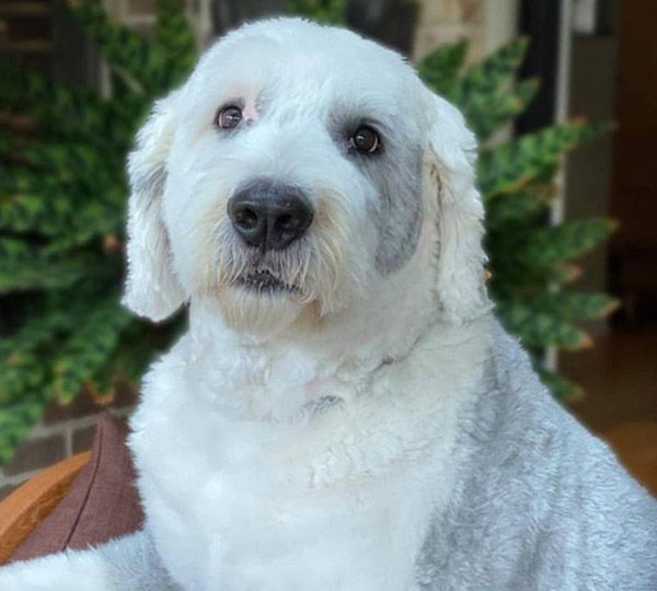 Aurora Blue's Don't Stop