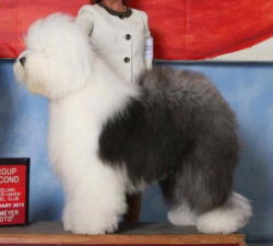 Bagatelle Moonlit River