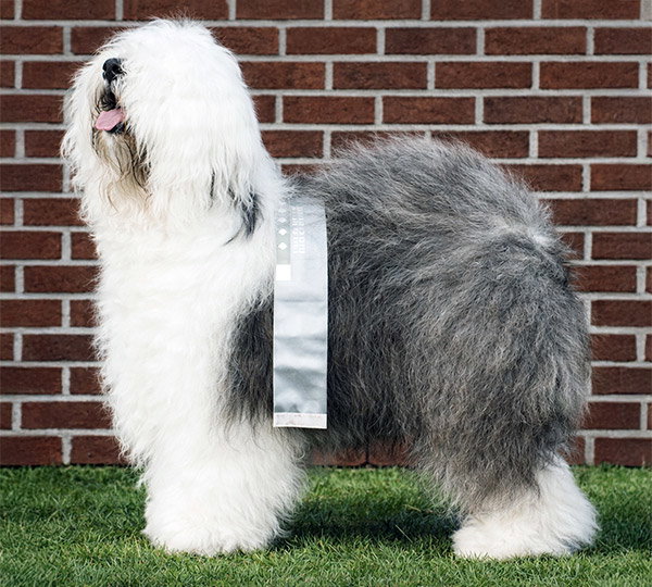 Barnolby Troubleshooter At Oldoak