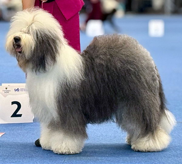 Czarlinda's Royal Heritage