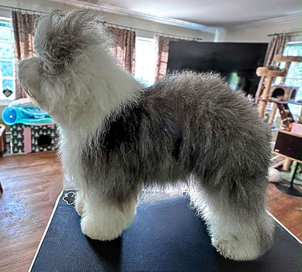 Haystac's Prince Charming