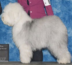 Island Bound My Perfect Storm