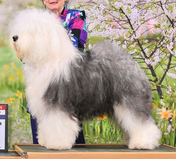 Love'n Stuff Let's Have A Party