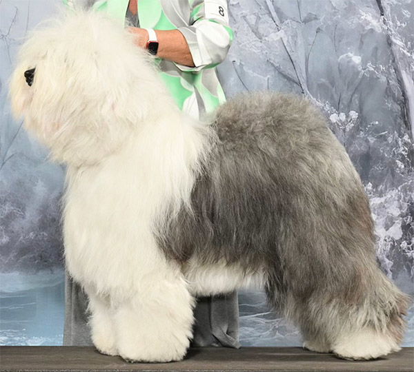 Love'n Stuff Life Of The Party