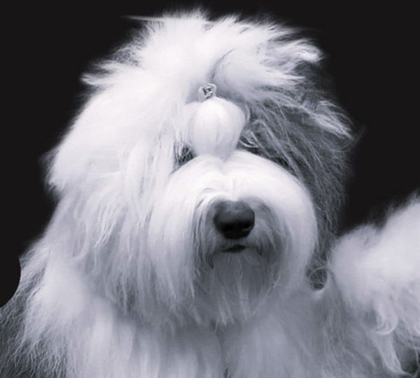 Melleonär's Including Full Board