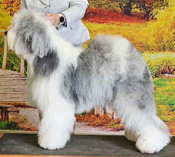 Norstar It Takes Two