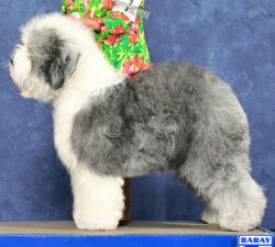 Pettibone's Be Your Own Kind Of Princess