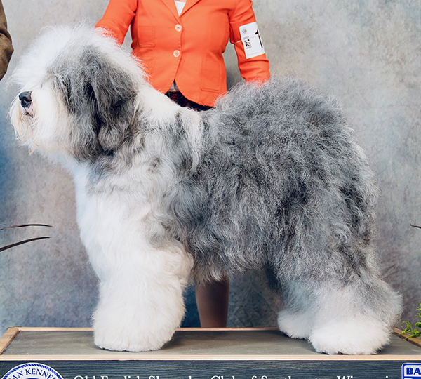 Pettibone's Love And Thunder