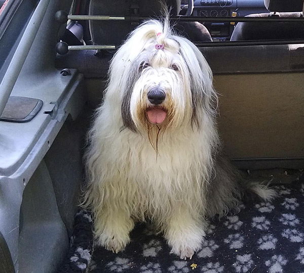 Red And Hot aus dem Elbe-Urstromtal