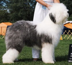 Some Buddys Storm Warning