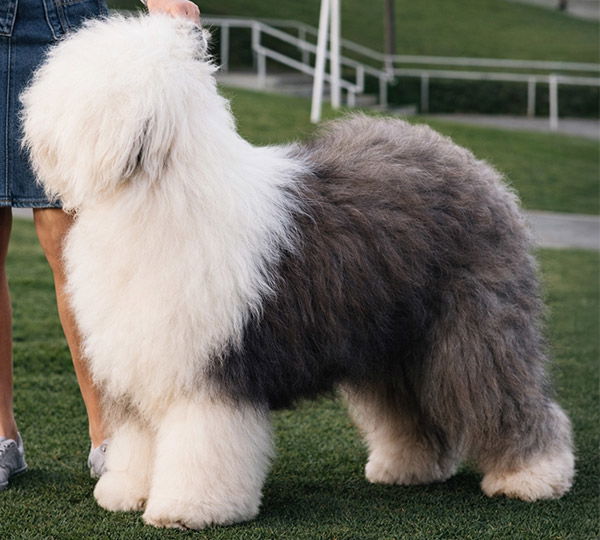 Some Buddys Titled Hero