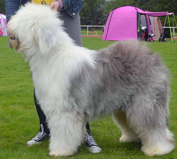 The River Walléys Green Eggs & Ham