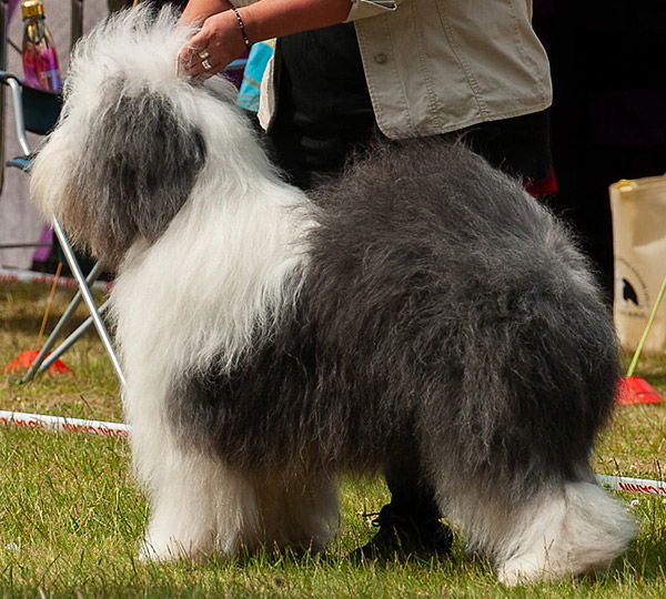 The River Walléys Mistletoe N'wine