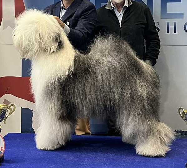 Upper Class Of Reality Dream