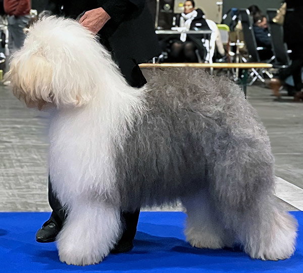 Waco Of Hillbilly Heights