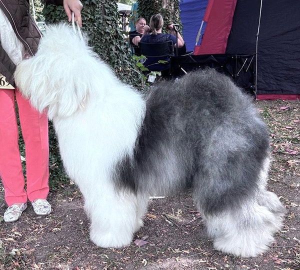 Wanted You aus dem Elbe-Urstromtal