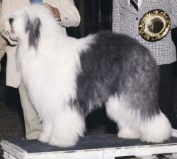 Whispering Oaks Tuff N Stuff