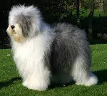 Applaus aus dem Elbe-Urstromtal