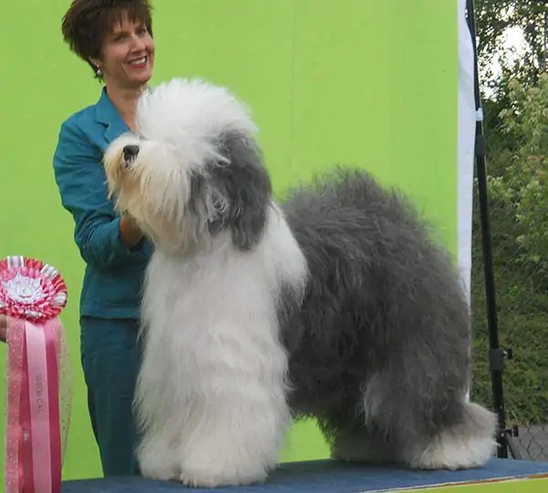 Argovian Hugs 'N Kisses