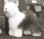 Bugaboo's Some'n To Talkabout