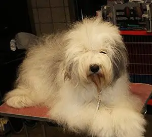 Definitely Xquiszt Abegayle