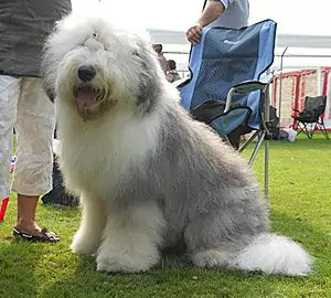 Definitely Xquiszt Aleandro