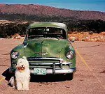 Firlefanz aus dem Elbe-Urstromtal