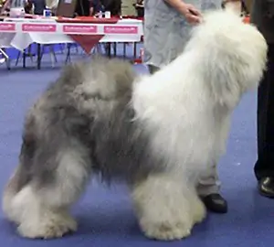 Give 'm to Me aus dem Elbe-Urstromtal