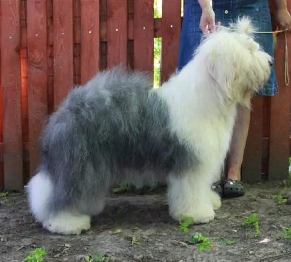 Kaffelatte aus dem Elbe-Urstromtal