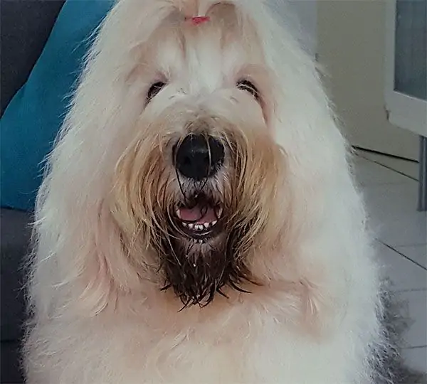 Loving Affections Keepsmilin'