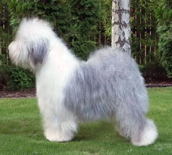 Nice Surprise aus dem Elbe-Urstromtal