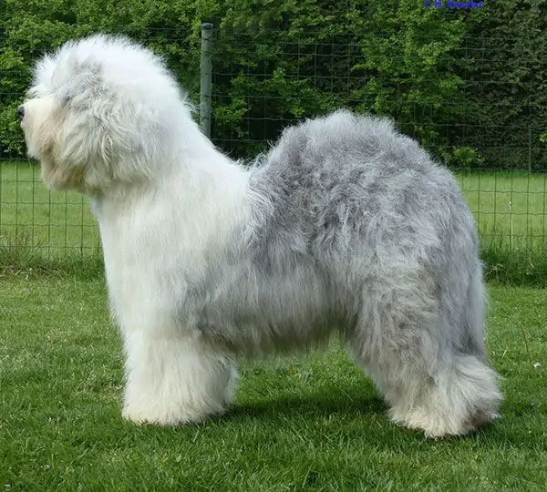 No Limits aus dem Elbe-Urstromtal