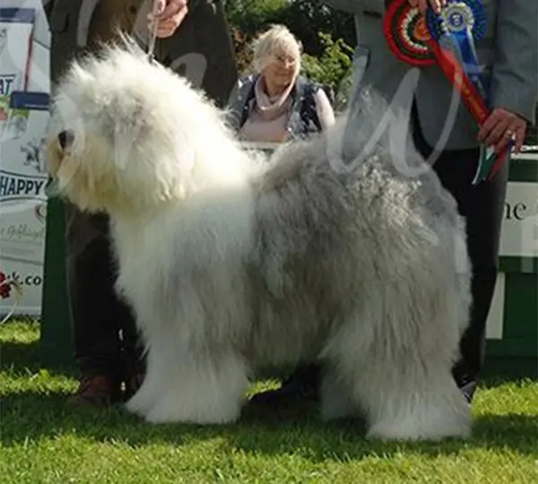 No One But Me aus dem Elbe-Urstromtal
