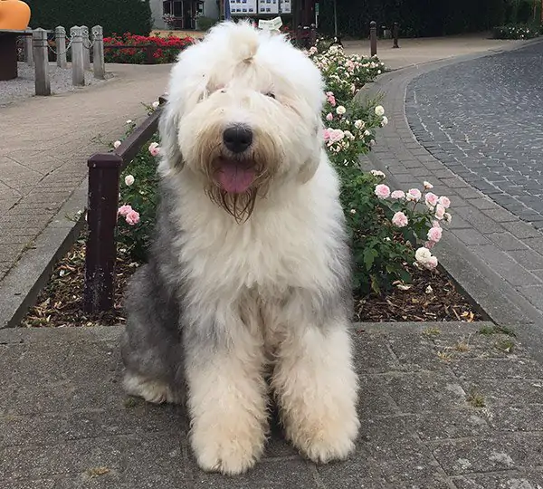 Not Tonight aus dem Elbe-Urstromtal