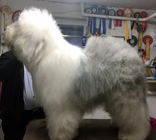 On Top aus dem Elbe-Urstromtal